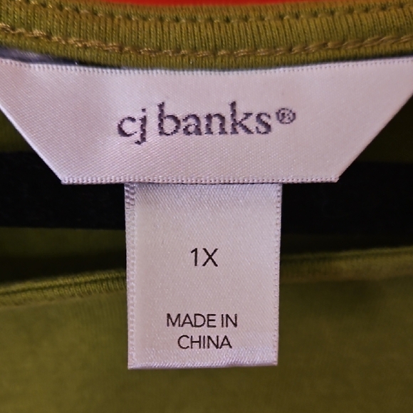NWOT 1X CJ Banks Olive Green Short Sleeve Tee - Picture 4 of 12